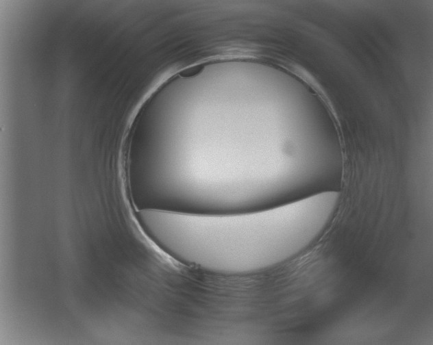 X0000060551243200511030843