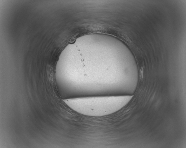 X0000060551251200511030843