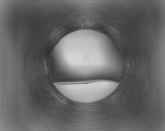 X0000060551252200511030843