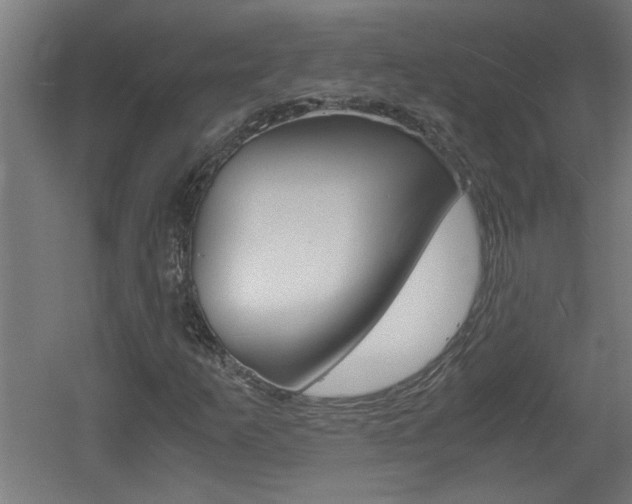 X0000060551253200511030843