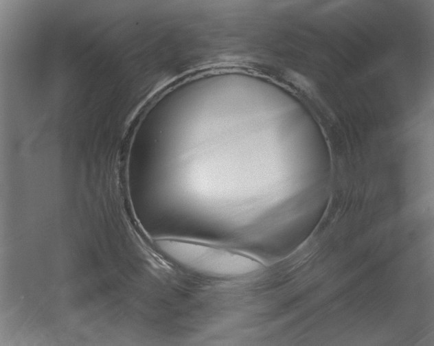 X0000060551260200511030842