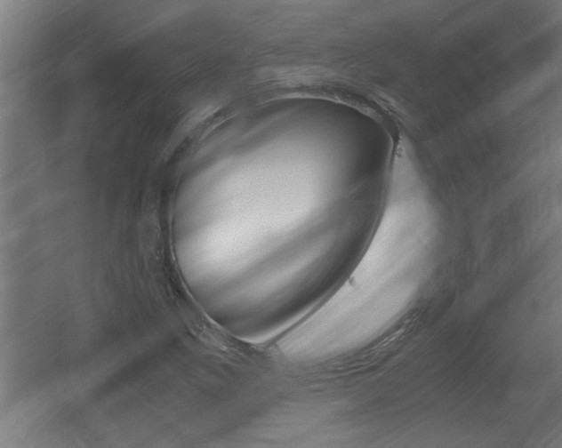 X0000060551261200511030842