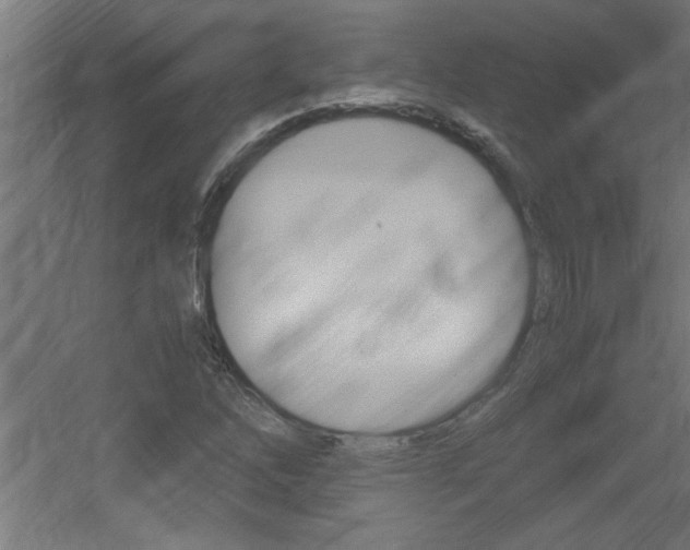 X0000060551262200511030842