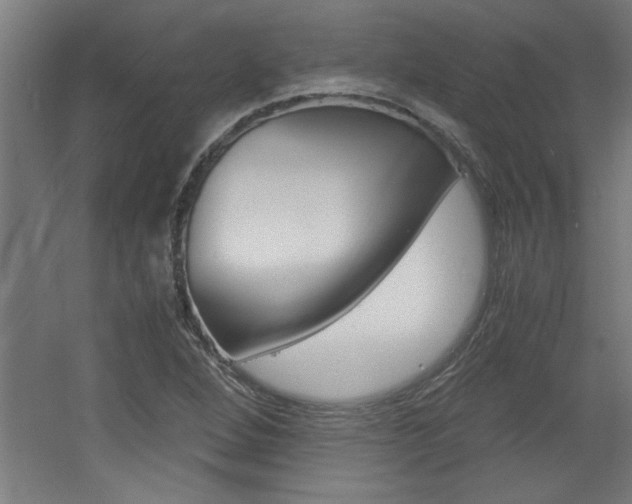 X0000060551264200511030842