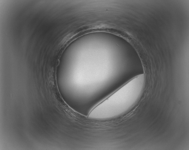X0000060551265200511030842