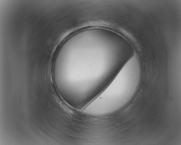 X0000060551272200511030842