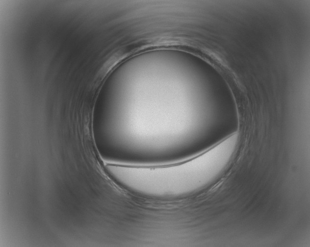 X0000060551273200511030842
