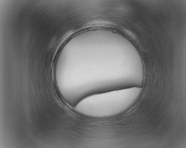 X0000060551275200511030842
