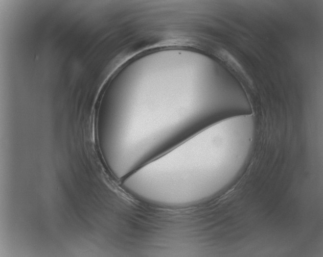 X0000060551276200511030842