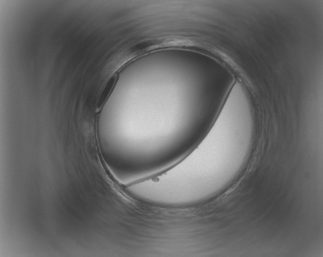X0000060551281200511030842