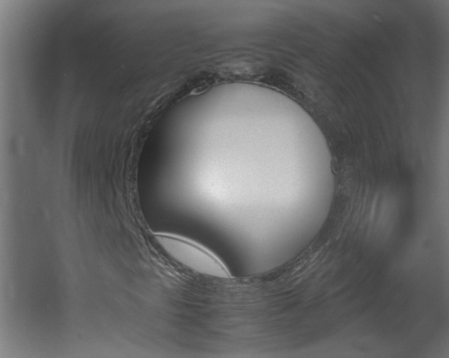X0000060551297200511030841