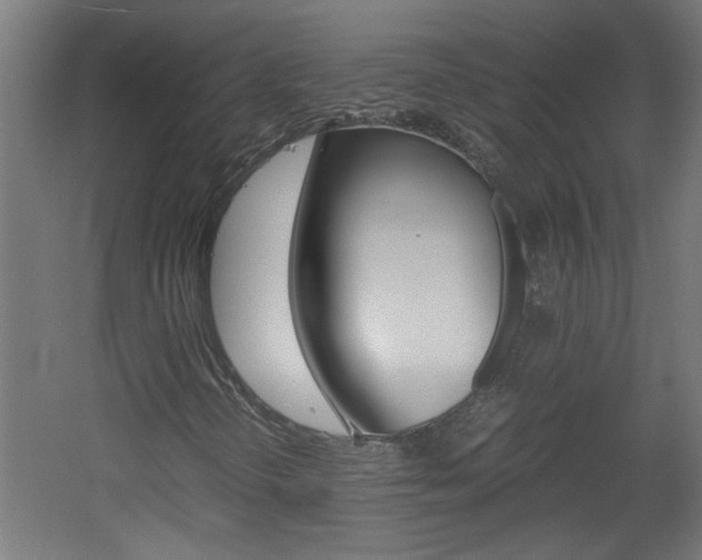 X0000060551298200511030841