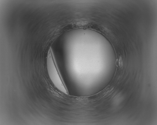 X0000060551299200511030841