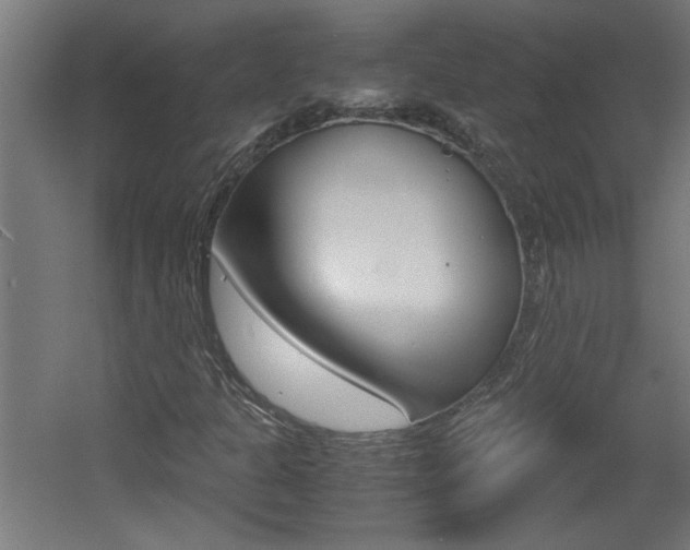 X0000060551301200511030841