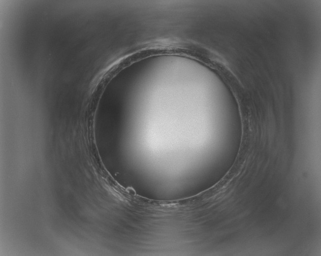 X0000060551304200511030841