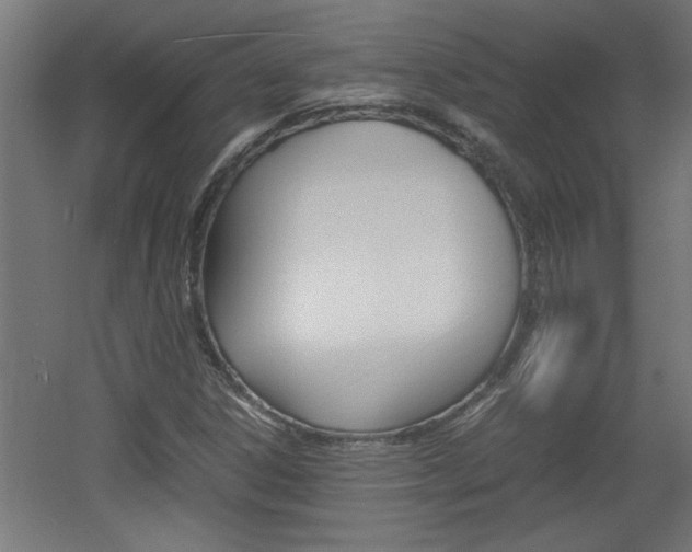 X0000060551306200511030841