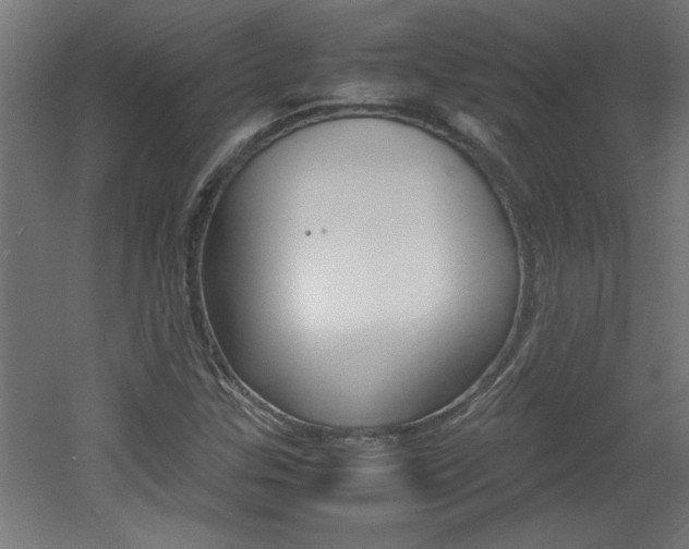 X0000060551307200511030841