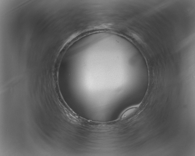 X0000060551308200511030841