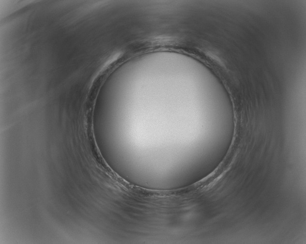 X0000060551309200511030841