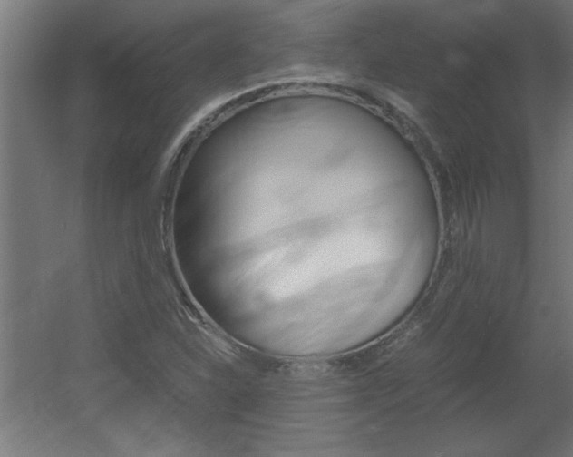 X0000060551310200511030841