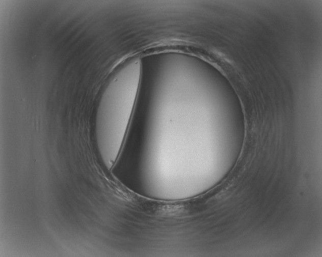 X0000060551313200511030841