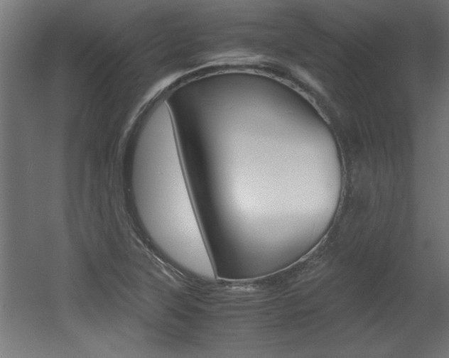 X0000060551315200511030841