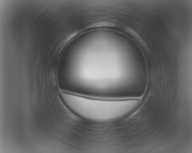 X0000060551321200511030841