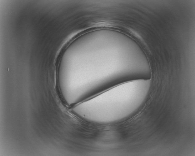 X0000060551323200511030841