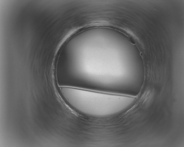 X0000060551325200511030841