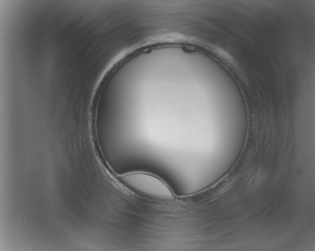 X0000060551326200511030841