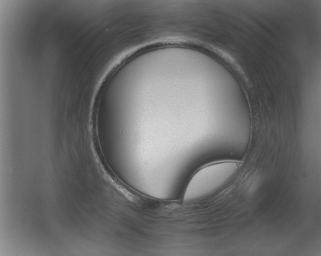 X0000060551327200511030841