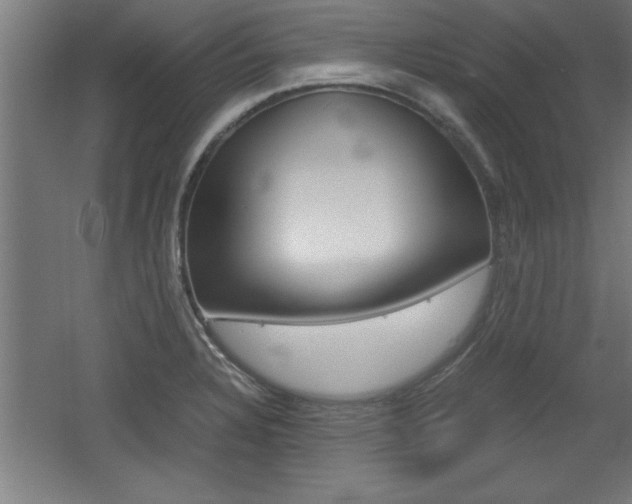 X0000060551328200511030842