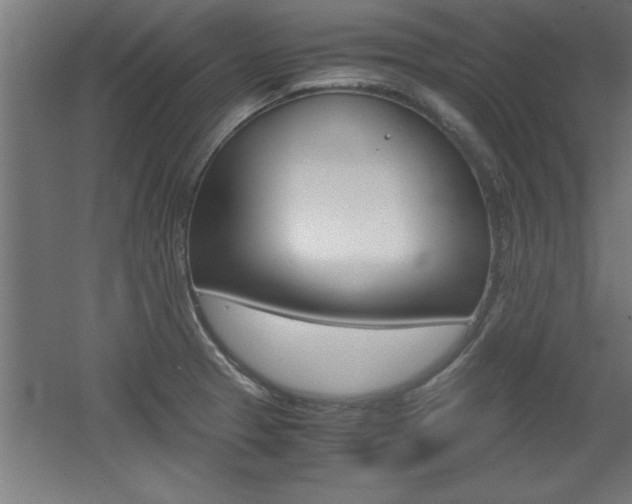 X0000060551329200511030842