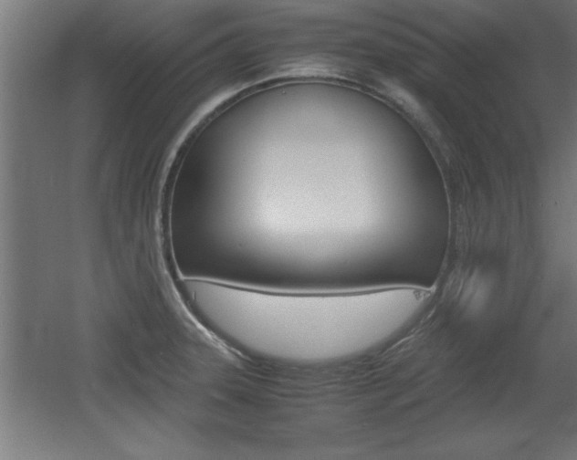 X0000060551331200511030842