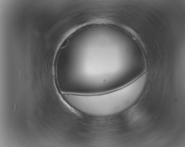 X0000060551335200511030842