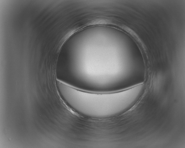X0000060551337200511030842