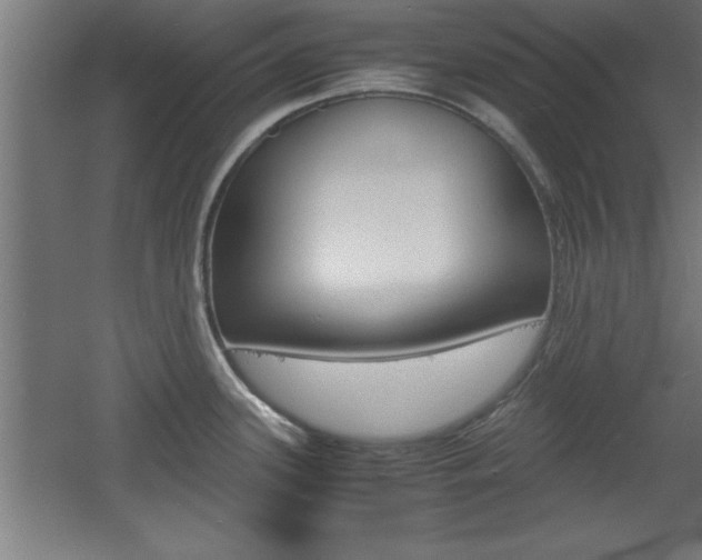 X0000060551339200511030842