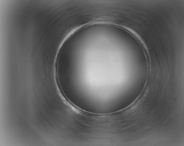 X0000060551341200511030842