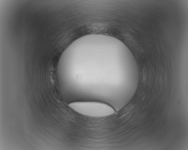 X0000060551346200511030841