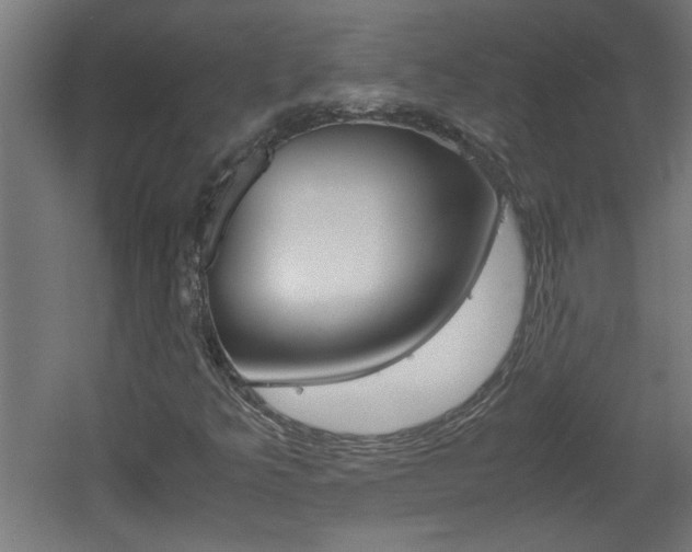 X0000060551349200511030841