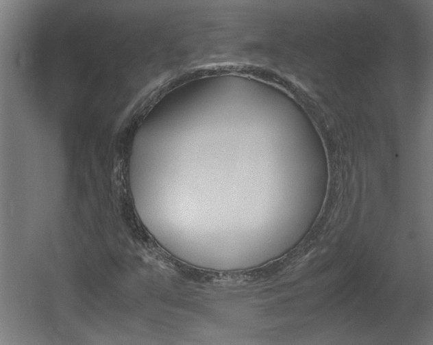 X0000060551351200511030841