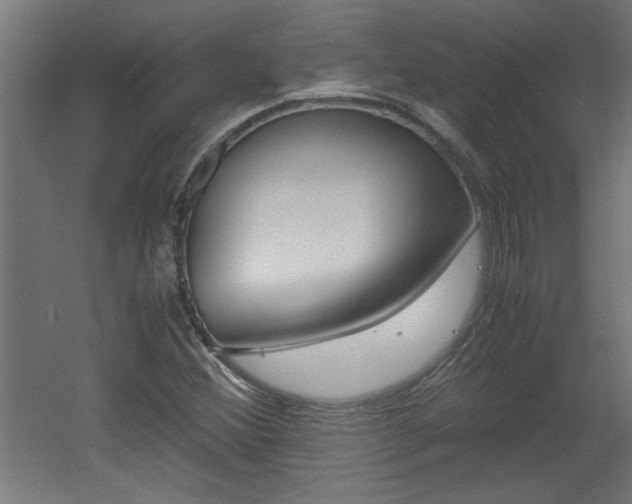 X0000060551356200511030841