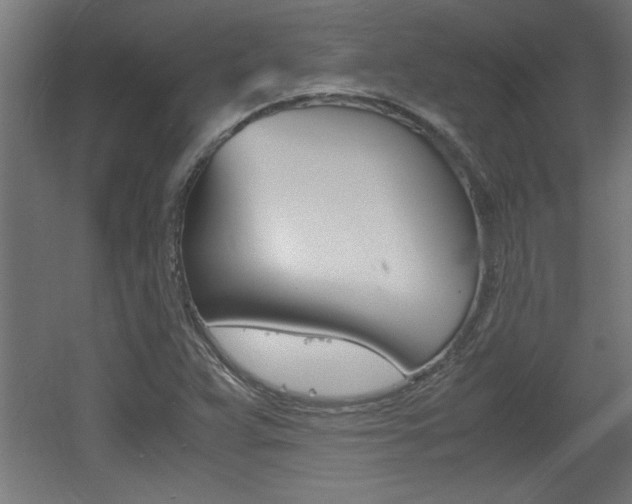 X0000060551359200511030841