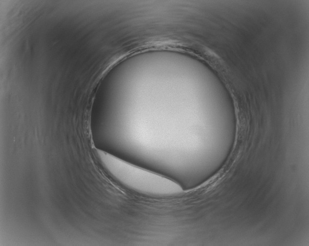 X0000060551361200511030841