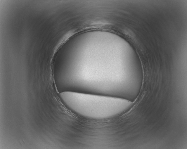 X0000060551362200511030841