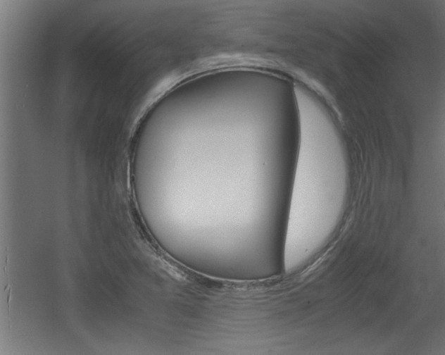 X0000060551365200511030841