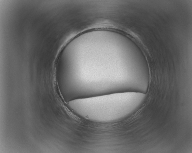 X0000060551366200511030841