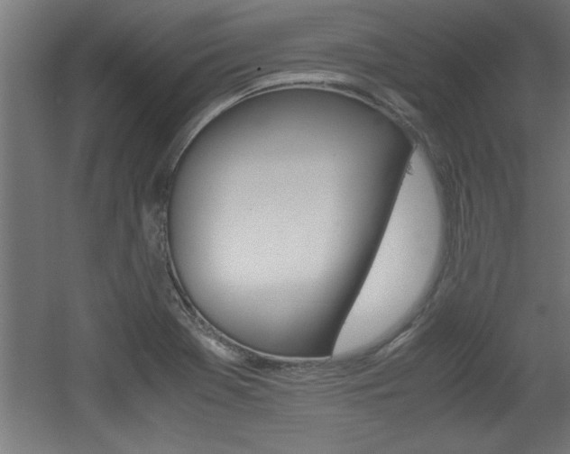X0000060551369200511030841