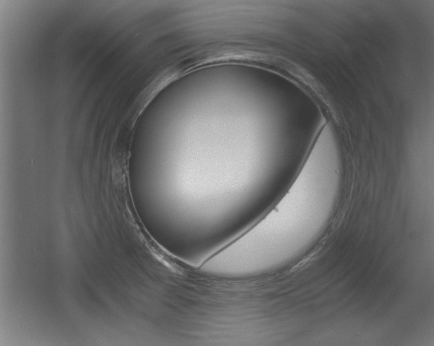 X0000060551377200511030840