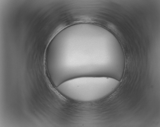 X0000060551378200511030840